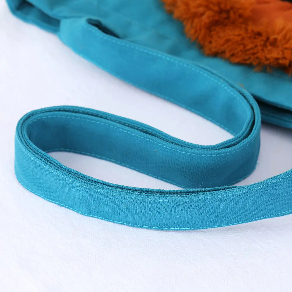 Premium Pet Carriers and Travel Accessories