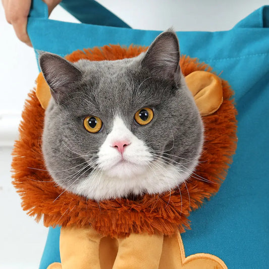 Premium Pet Carriers and Travel Accessories
